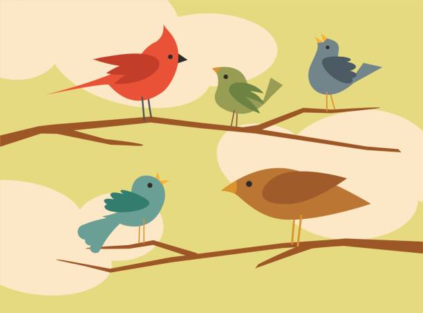 набор простых плоский стиль мультфильм птиц - perch stock illustrations