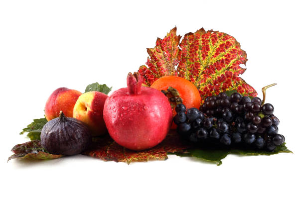 istock Southern fruits 669431104