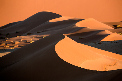 Sand dunes in Sossusvlei, Namibia.
