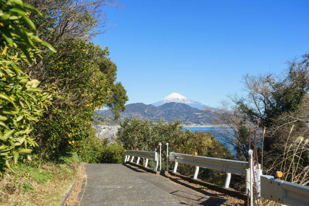 istock Mt. Fuji seen from the Satta Pass 669434232