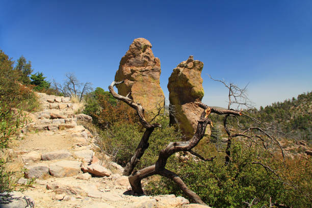Massai Point rock hoodoos formation in Echo Canyon, Chiricahua National Monument near Wilcox, in southern Arizona, USA.