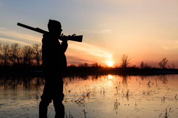 hunter au coucher du soleil. - chasse photos et images de collection