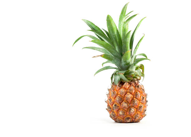 istock the Isolated of pineapple fruit on white background. copy space for designer 669448960