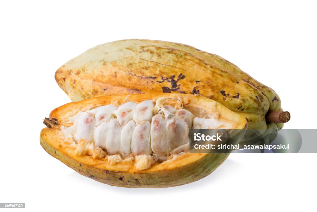 Cocau Cacao Fruit Raw Cacao Beans Cocoa Pod On White Background Stock Photo ...