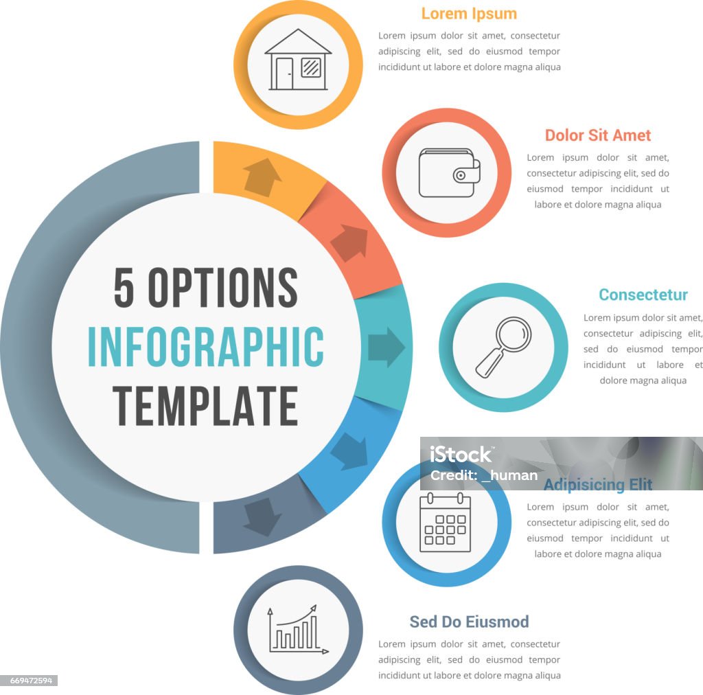 5 Options Infographic Template 5 Options infographic template with line icons for prsentations, reports, brochures etc, can be used as steps, workflow, process, vector eps10 illustration Business stock vector