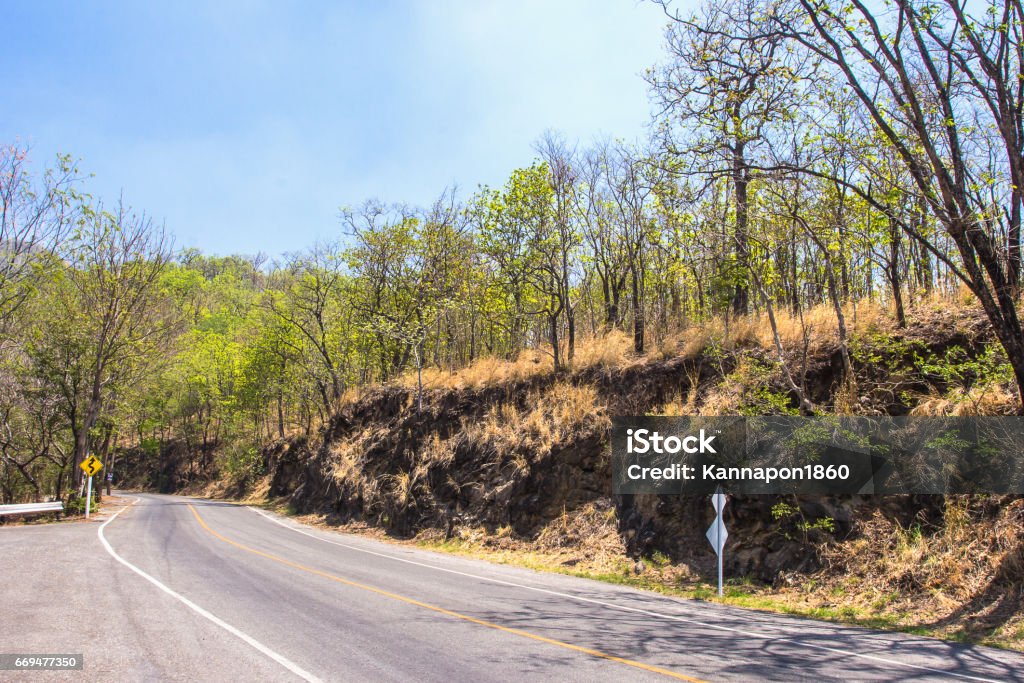 Asphalt road in rural autumn landscape, Thailand Asphalt Stock Photo