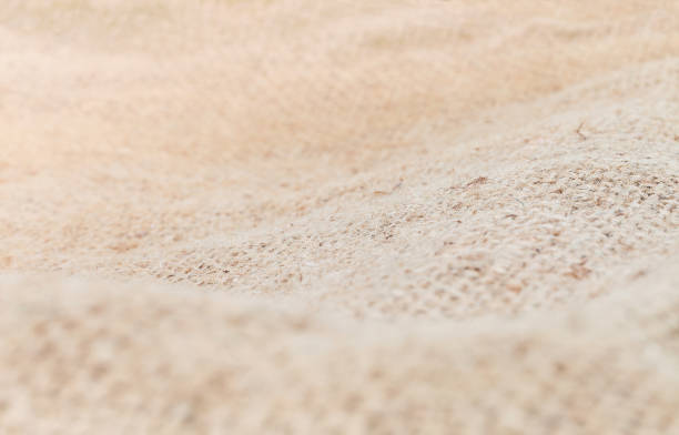 istock selective focus of sack burlap canvas texture for agriculture 669483962