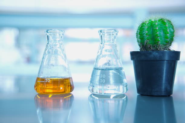 istock flask and green cactus plant in pot in science lab 669488690
