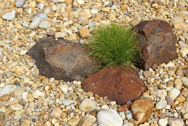 istock Low Maintenance Landscaping in Australia 669489182
