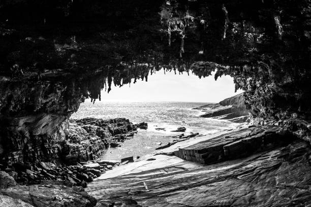 arch. 호주 캥거루 섬, 제 독 - kangaroo island australia south australia weathered 뉴스 사진 이미지