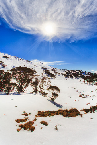 Sunny summer day high in kosciuszko national park alpine mountains. Perisher valley is popular skiing resort and destination for winter recreation.