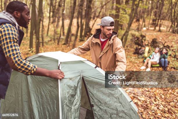 Men Pitching Tent In Autumn Forest Stock Photo - Download Image Now - Tent, Baseball Pitcher, Building - Activity