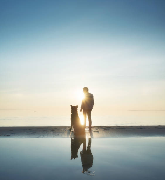 istock Man with dog friend on the beach 669520302