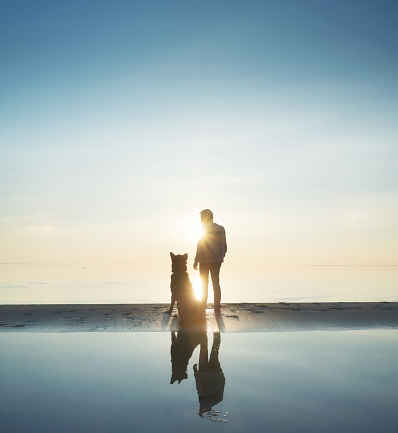 Man with dog friend on the beach. Concept and idea