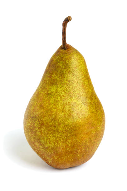 istock A large yellow (brown) pear  stands straight  isolated on a white background. 669532814