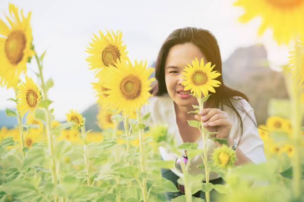 istock Sunflower and a woman hiding behind it 669533060