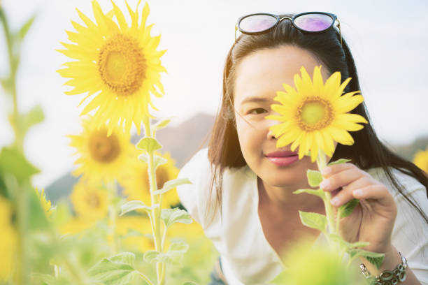 istock Sunflower and a woman hiding behind it 669533078