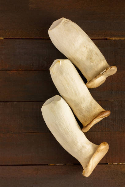 King trumpets, edible mushrooms, on dark background