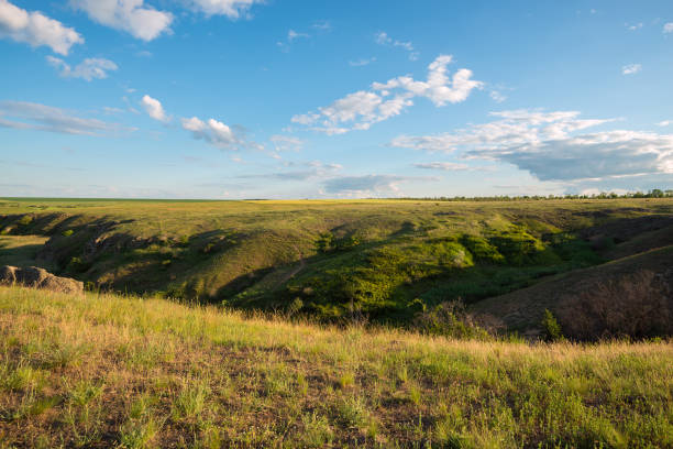 paisagem mágica de uma pradaria verde - grass area field hill prairie - fotografias e filmes do acervo