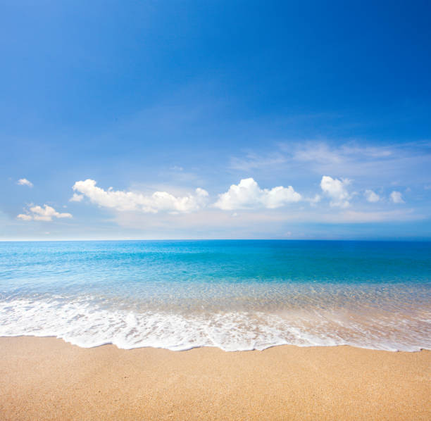istock beach and tropical sea 669544926