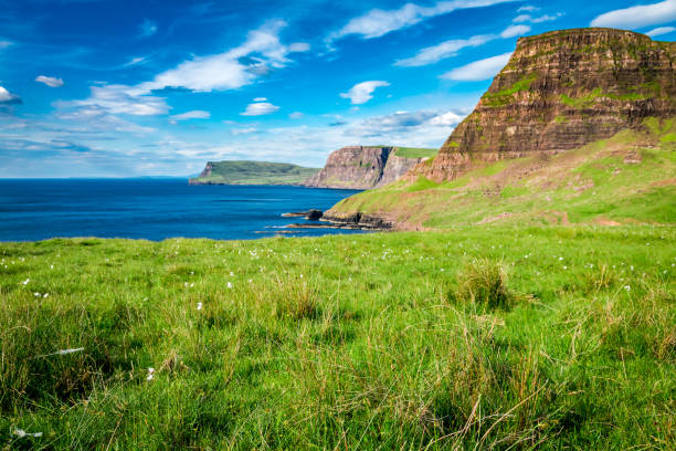 istock Beautiful view to sheeps on the cliff, Scotland 669549188