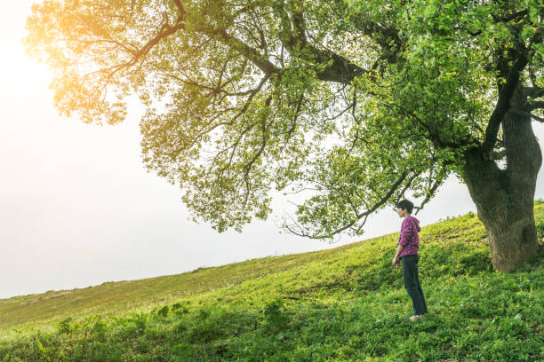 istock asian girl standing on the grass field 669565902