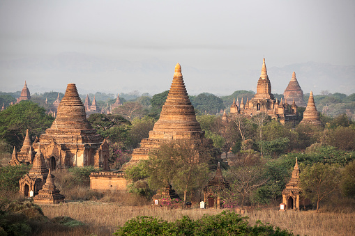 Bagan, Myanmar. Temples in morning light.