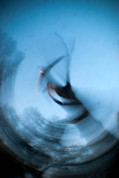 istock Concept of vertigo with spiral image of a tree 669574342
