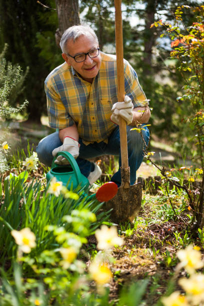 Senior man gardening