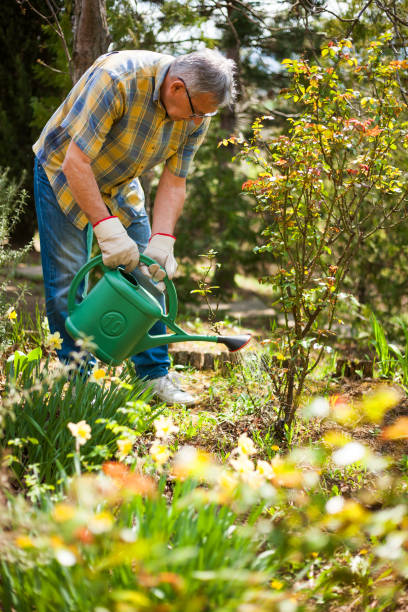 istock Senior man gardening 669574518