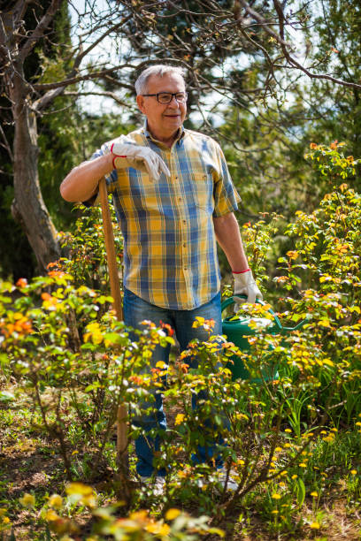 istock Senior man gardening 669574562