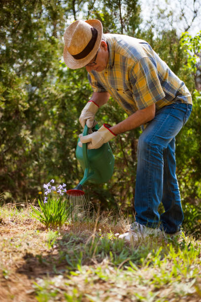istock Senior man gardening 669576900