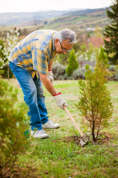 istock Senior man gardening 669577188