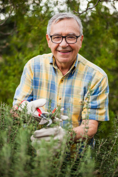 istock Senior man gardening 669577380