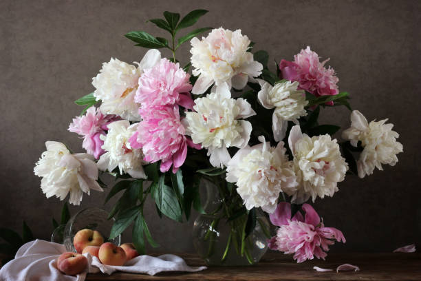 istock bouquet of peonies on a dark background. 669577602