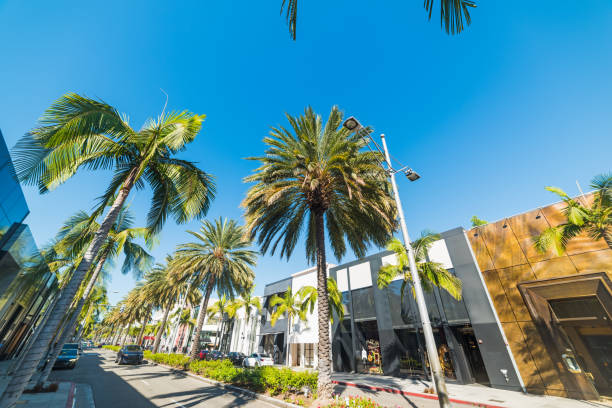 istock Rodeo drive on a sunny day 669585442