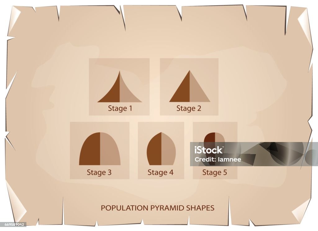Population Pyramid Types With Examples Different Types Of Population Pyramids On Old Paper Background Stock ...