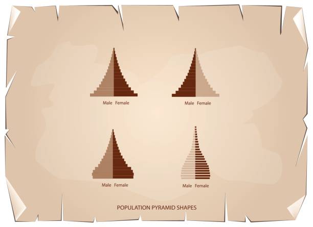 Vertically Pyramids Graph 220+ Population Pyramids Stock Photos, Pictures & Royalty-Free Images ...
