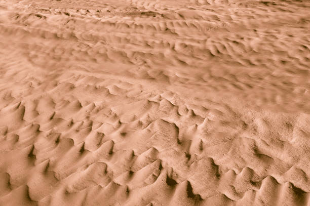 istock Camel color. Desert. Modern and contemporary wallpaper for interior design. Background and Texture 669594768