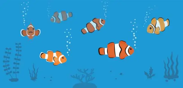 Vector illustration of clown fish swimming in the sea