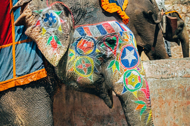 인도에서 화려한 페인트 인도 코끼리 - animal close up elephant animal eye 뉴스 사진 이미지