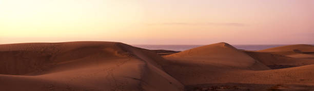 istock Sand Dunes Of Gran Canaria At Dawn 669600510