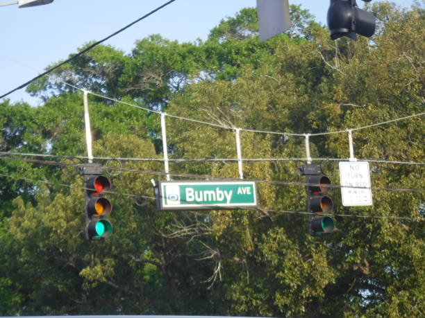 istock Busy Bumby, Orlando 669616868