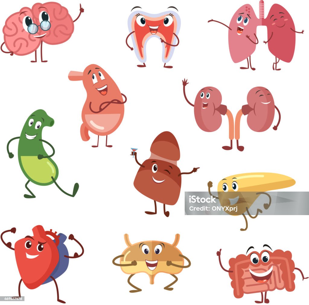 Human Organs With Funny Emotions Cartoon Vector Illustration Isolate On  White Background Stock Illustration - Download Image Now - iStock