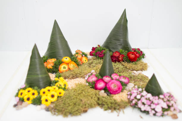 istock flower bouquet on a white background 669625434