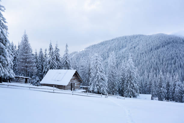 istock Wooden hut stand in the forest. 669628378