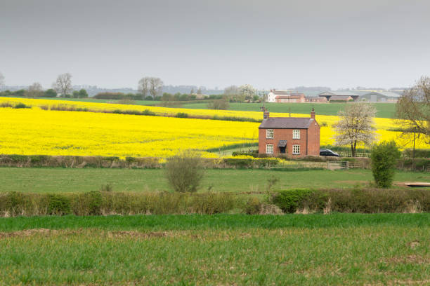 istock Cottage On The Farm 669628734