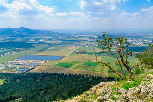 The Jezreel Valley landscape, viewed from Mount Precipice. Northern Israel