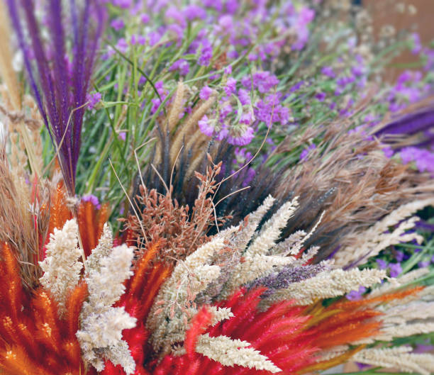 istock Colorful dried flowers close-up 669634530
