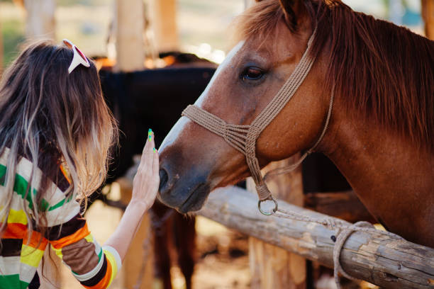 istock woman pets horse 669635558